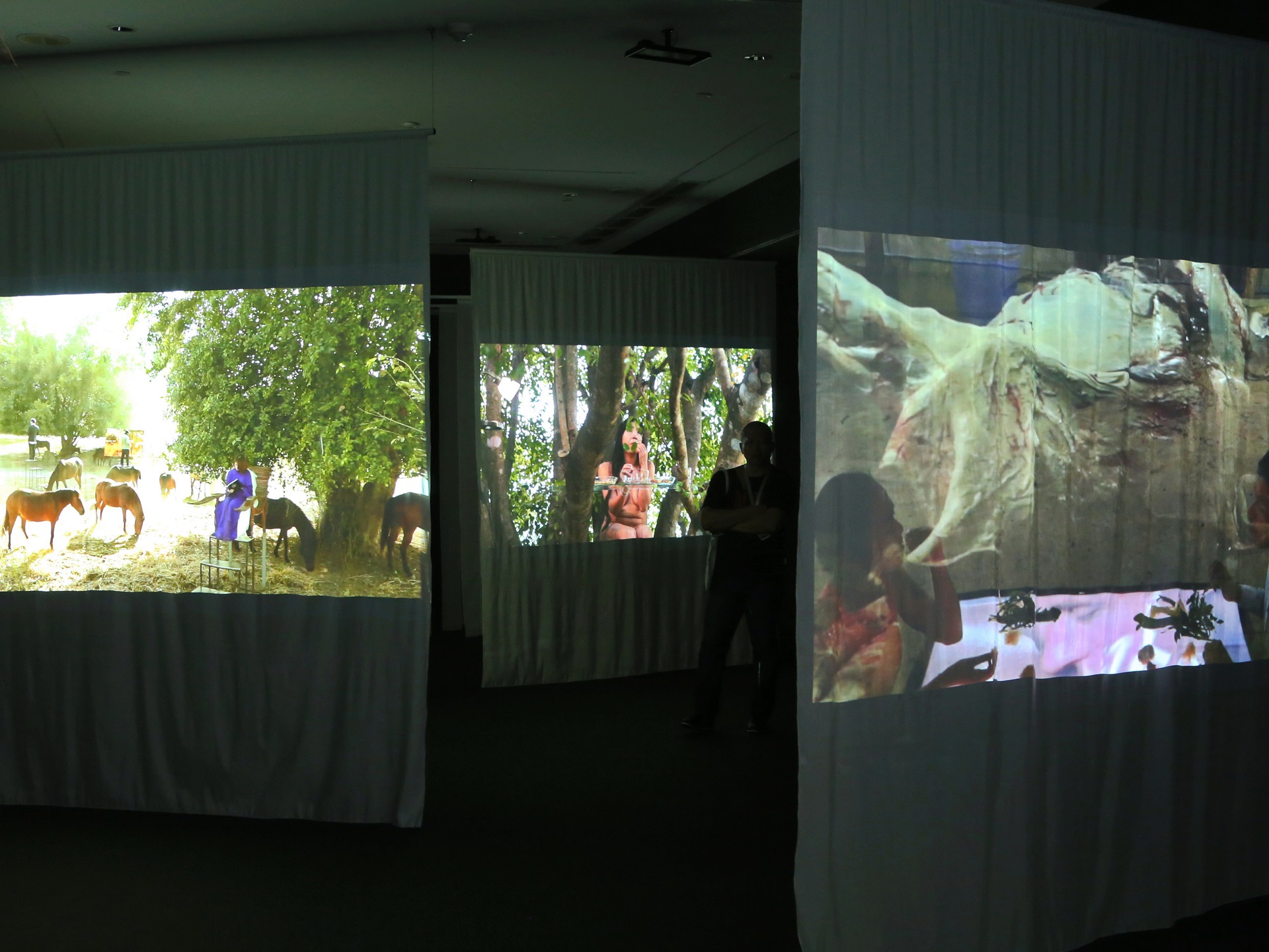 Jaonua: The Nothingness (King of Meat: The Nothingness)