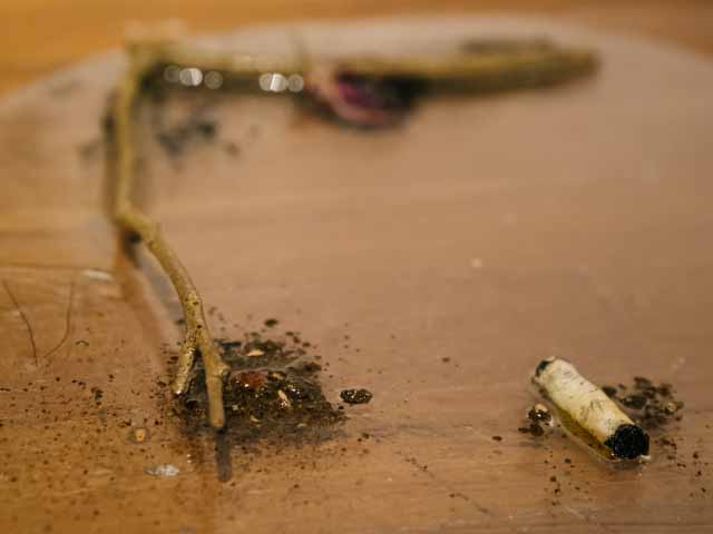 Close-up view of 'Passage Moist Beings'