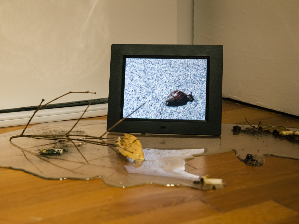 Close-up view of 'Passage Moist Being'